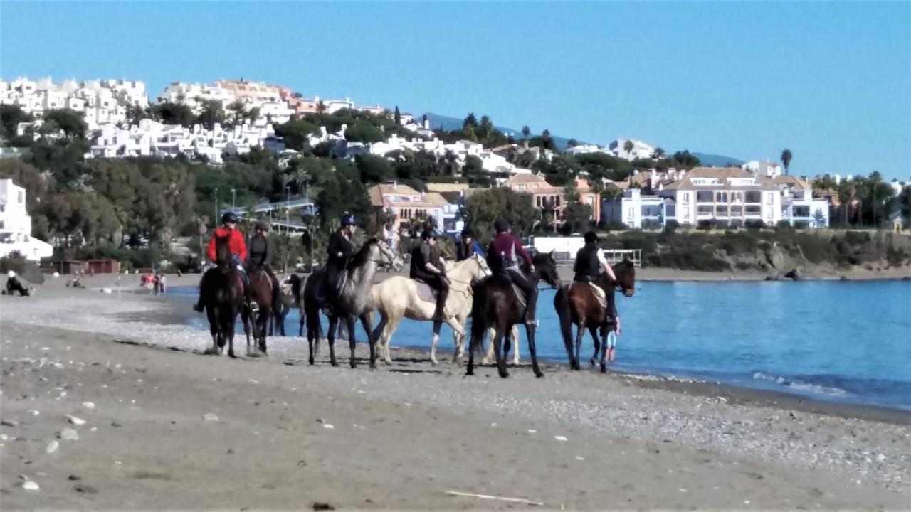 Casa Julia Διαμέρισμα Casares Εξωτερικό φωτογραφία